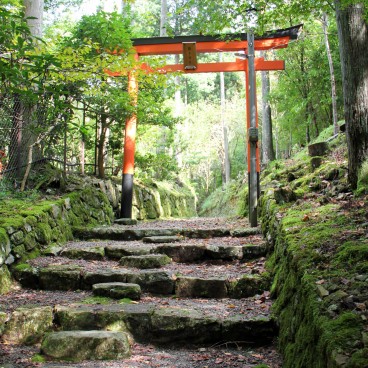 Ohara, Porte torii