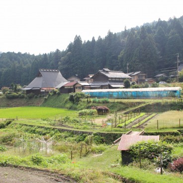 Ohara, Rizières près de Jakko-in