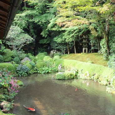 Ohara, étang Migiwa no ike au Jakko-in