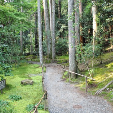 Ohara, chemin forestier au Jakko-in