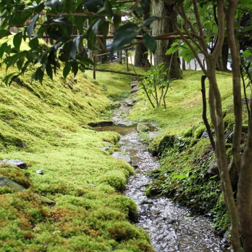 Ohara, paysage mousse au Jakko-in