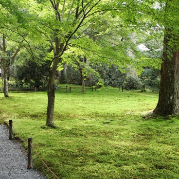 Ohara, Allée du Sanzen-in