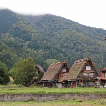Shirakawa-go, Maisons aux toits de chaume