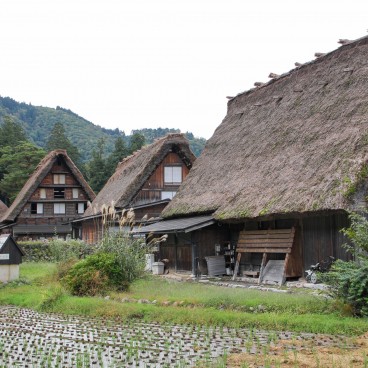 Shirakawa-go, Vue sur les rizières et les maisons aux toits de chaume 2