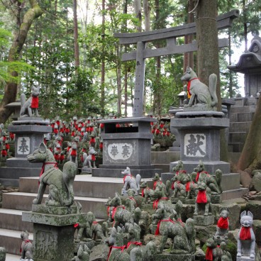 Toyokawa Inari (Aichi), Colline aux renards Reiko-Zuka 