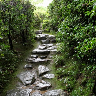 Villa Okochi Sanso 7