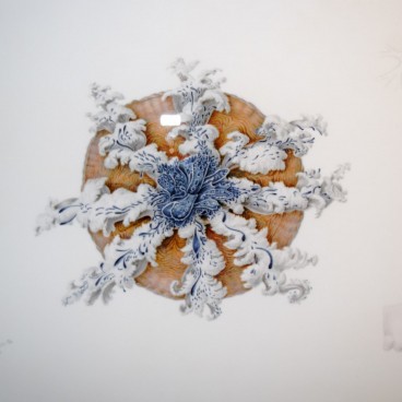 Aquarium Kamo Kurage (Tsuruoka), Dessin anatomique de méduse