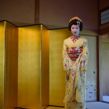 Villa Saito à Niigata, Geigi debout