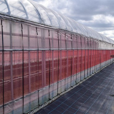Agri-Park de Niigata, Visite d'une serre