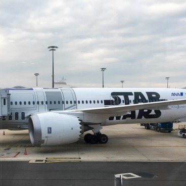 Ana All Nippon Airways 1