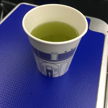 Ana All Nippon Airways 4