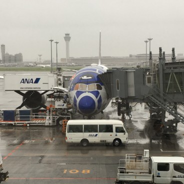 Ana All Nippon Airways 6