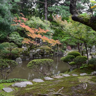 Musée des Cultures du Nord (Niigata), Grand jardin et son bassin 3