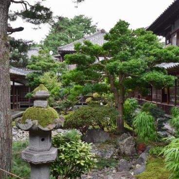 Musée des Cultures du Nord (Niigata), vue sur le jardin 3