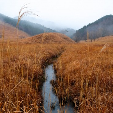 Hauts plateaux de Tonomine (Hyogo), champs de Susuki et ruisseau en automne