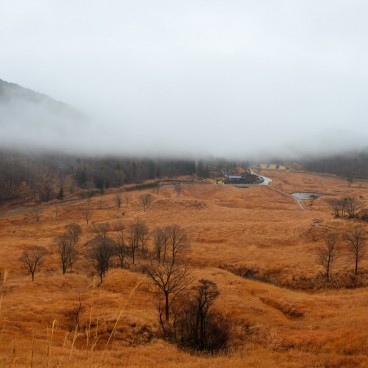 Hauts plateaux de Tonomine (Hyogo), vue sur les champs de Susuki en automne 2