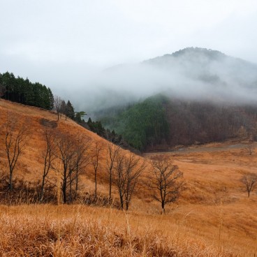 Hauts plateaux de Tonomine (Hyogo), vue sur les champs de Susuki en automne 3