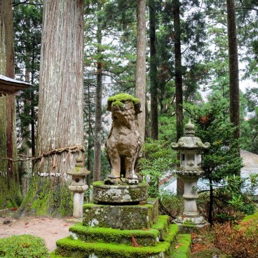 Sanbutsu-ji (Tottori), Statue et lanterne couvertes de mousse