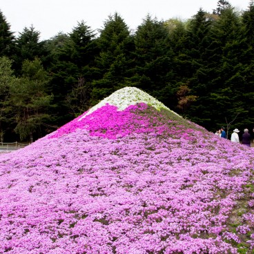 Réplique du Mont Fuji au Fuji Shibazakura Matsuri