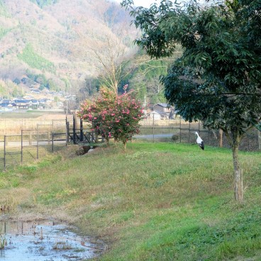 Kinosaki Onsen (Hyogo), Parc Konotori no Sato 2