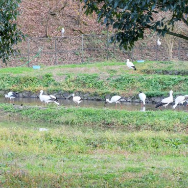 Kinosaki Onsen (Hyogo), Parc Konotori no Sato 1