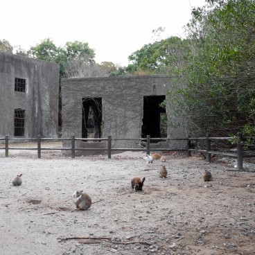 Okunoshima, Ruines des anciennes usines