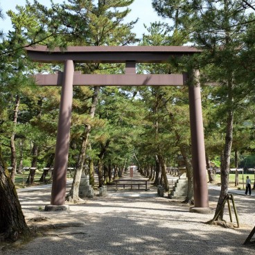 Izumo Taisha (Shimane), Matsu no Sando, allée centrale réservée aux dieux Kami et à l'empereur