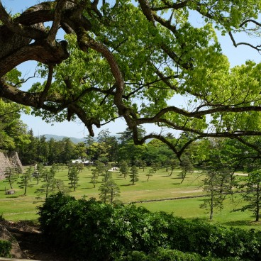 Château de Matsue, vue du parc