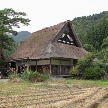Myozen-ji (Shirakawa-go), rizière