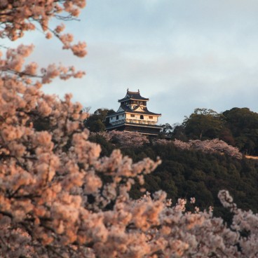 Iwakuni, Château