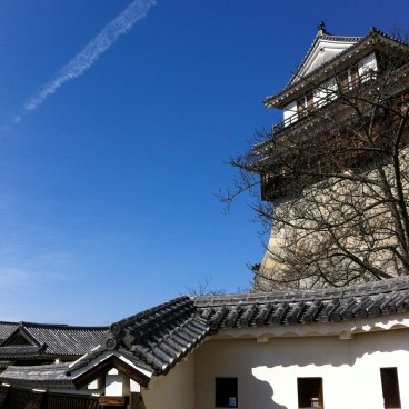 Château de Matsuyama 2