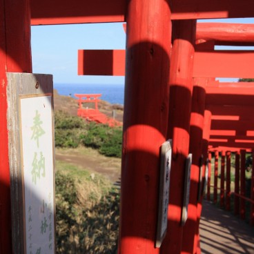 Motonosumi Inari Jinja (Chugoku), Tunnel de torii 2