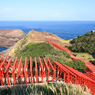Motonosumi Inari Jinja (Chugoku), Tunnel de torii