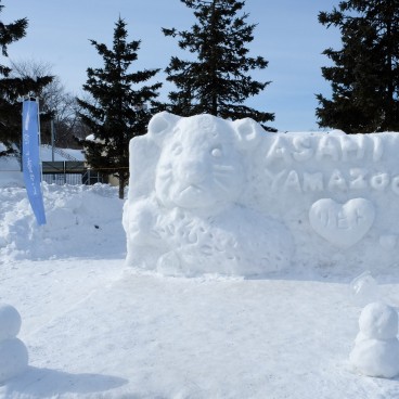 Asahikawa, Zoo Asahiyama Dobutsuen 2