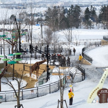 Asahikawa, Zoo Asahiyama Dobutsuen