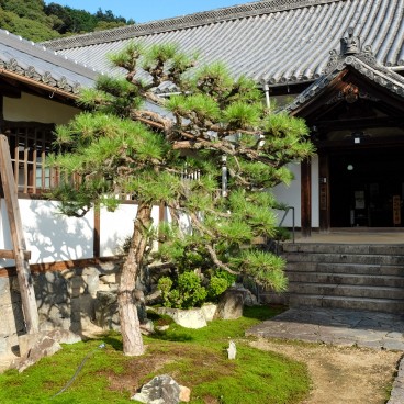 Kosho-ji (Uji), Détail du jardin 2