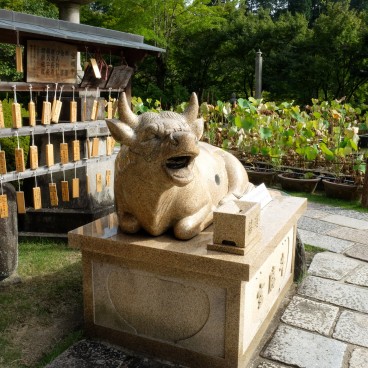 Mimuroto-ji, Statue de Koma-Ushi
