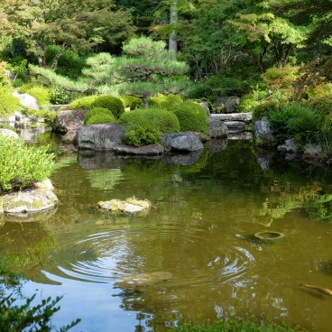 Mimuroto-ji, Etang 2