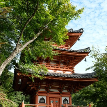 Mimuroto-ji, Pagode Sanjunoto