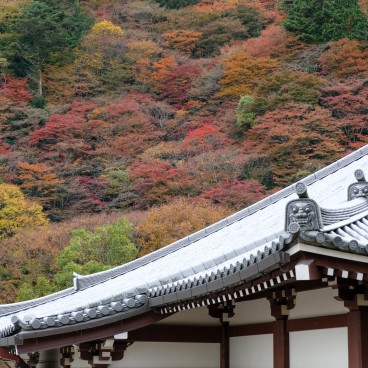 Yoshimine-dera à Kyoto en automne