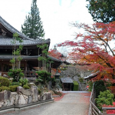 Yoshimine-dera à Kyoto, beaux érables en automne