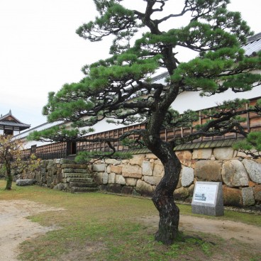 Château d'Hiroshima, Enceinte Ninomaru