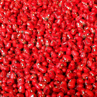 Chikubushima (Lac Biwa), Poupées Daruma à l'image de Benzaiten