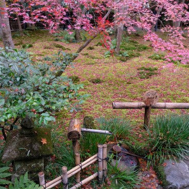 Gio-ji : temple de mousses et érables à Arashiyama 6