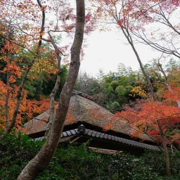 Gio-ji : temple de mousses et érables à Arashiyama 8