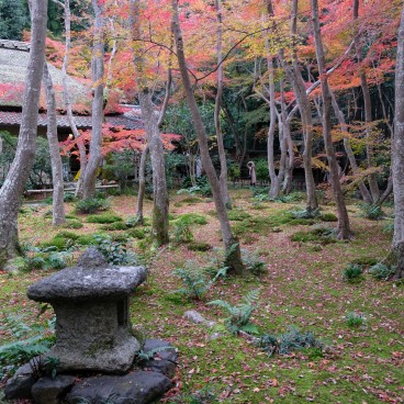 Gio-ji : temple de mousses et érables à Arashiyama 2