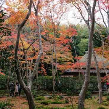 Gio-ji : temple de mousses et érables à Arashiyama 3