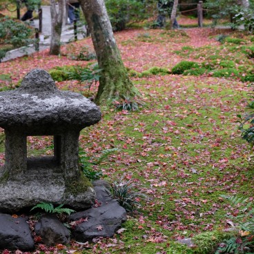 Gio-ji : temple de mousses et érables à Arashiyama 4