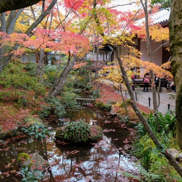 Etang avec érables koyo au Jojakko-ji