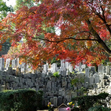 Cimetière bouddhiste au Mitaki-dera à Hiroshima